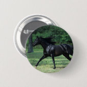 Thoroughbred-Betrieb Button (Vorne & Hinten)