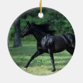 Thoroughbred-Betrieb Keramik Ornament (Hinten)
