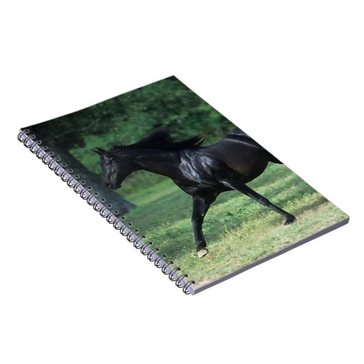 Thoroughbred-Betrieb Notizblock (Rechte Seite)