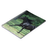 Thoroughbred-Betrieb Notizblock (Linke Seite)