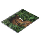 Thoroughbred-Fohlen, das sich hinlegt Notizblock (Linke Seite)