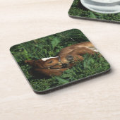 Thoroughbred-Fohlen, das sich hinlegt Untersetzer (Linke Seite)