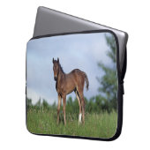 Thoroughbred-Fohlen stehend im Gras Laptopschutzhülle (Vorderseite Links)