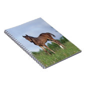 Thoroughbred-Fohlen stehend im Gras Notizblock (Rechte Seite)