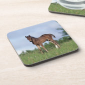 Thoroughbred-Fohlen stehend im Gras Untersetzer (Linke Seite)