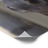 Thoroughbred Friesian Horse Poster (Ecke)