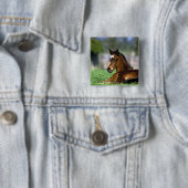 Thoroughbred Horse, Irland Button (Beispiel)