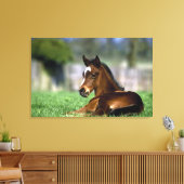 Thoroughbred Horse, Irland Leinwanddruck (Insitu (Wohnzimmer))
