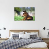 Thoroughbred Horse, Irland Leinwanddruck (Insitu (Schlafzimmer))