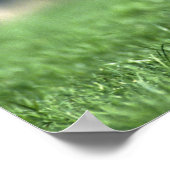 Thoroughbred Horse, Irland Poster (Ecke)