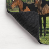 Thoroughbred-Jährlinge Mousepad (Ecke)