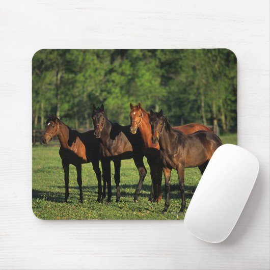 Thoroughbred-Jährlinge Mousepad (Mit Mouse)