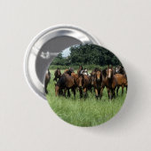Thoroughbred-Knaben Button (Vorne & Hinten)