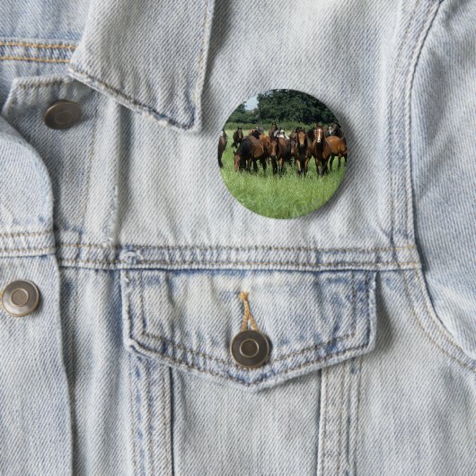 Thoroughbred-Knaben Button (Beispiel)