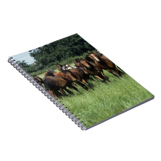 Thoroughbred-Knaben Notizblock (Rechte Seite)