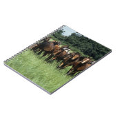 Thoroughbred-Knaben Notizblock (Linke Seite)