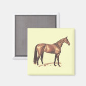 Thoroughbred Magnet (Vorderseite/Rückseite)