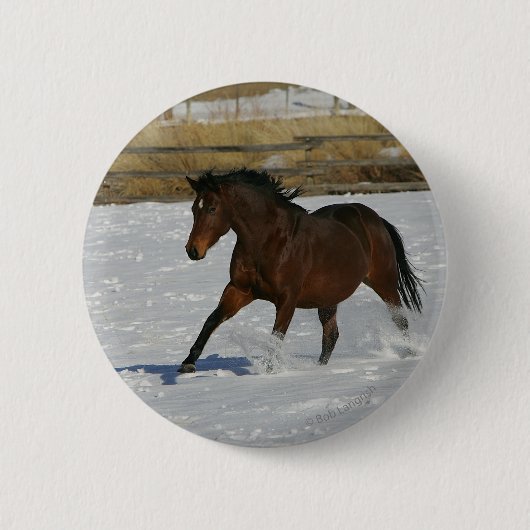 Thoroughbred-Pferd, das in den Schnee läuft Button (Vorderseite)