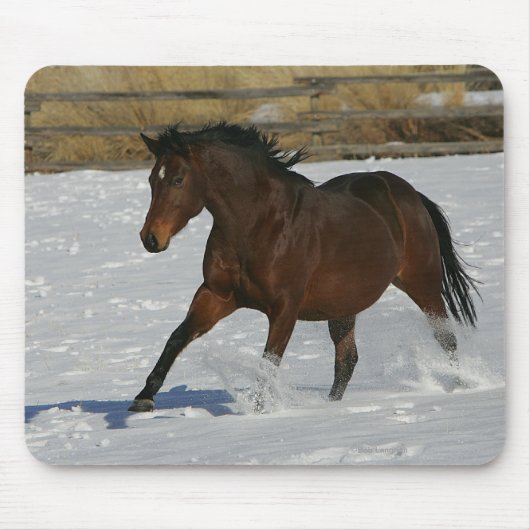 Thoroughbred-Pferd, das in den Schnee läuft Mousepad (Vorne)