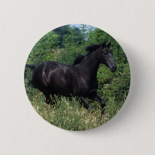 Thoroughbred-Pferd, das in Gras läuft Button