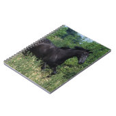 Thoroughbred-Pferd, das in Gras läuft Notizblock (Linke Seite)