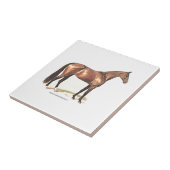 Thoroughbred-Pferd Fliese (Seite)