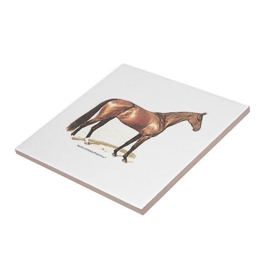 Thoroughbred-Pferd Fliese (Seite)