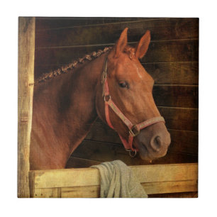 Thoroughbred-Pferd Fliese
