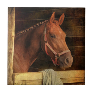Thoroughbred-Pferd Fliese