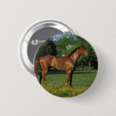 Thoroughbred-Pferd in den Blumen Button (Vorne & Hinten)