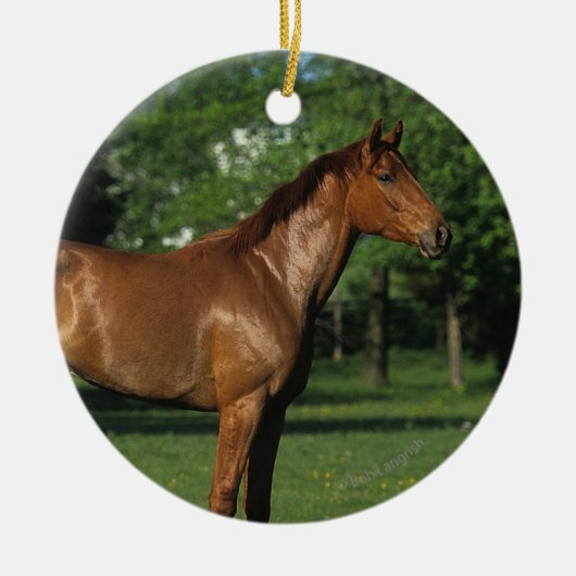 Thoroughbred-Pferd in den Blumen Keramik Ornament (Vorne)