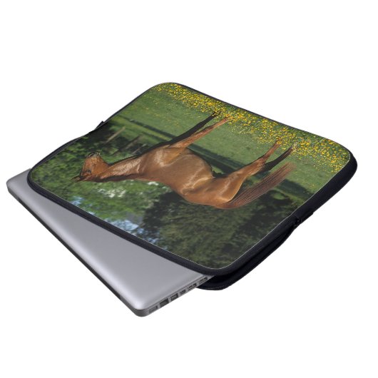 Thoroughbred-Pferd in den Blumen Laptopschutzhülle (Vorne Knopf)
