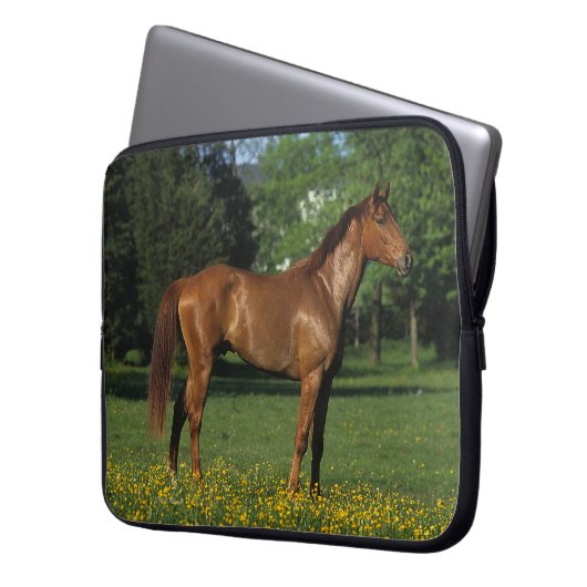 Thoroughbred-Pferd in den Blumen Laptopschutzhülle (Vorderseite Links)