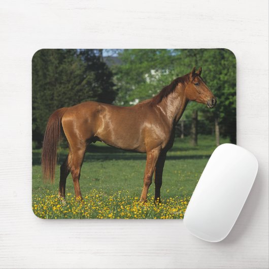 Thoroughbred-Pferd in den Blumen Mousepad (Mit Mouse)