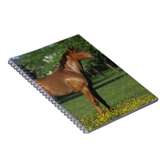 Thoroughbred-Pferd in den Blumen Notizblock (Rechte Seite)