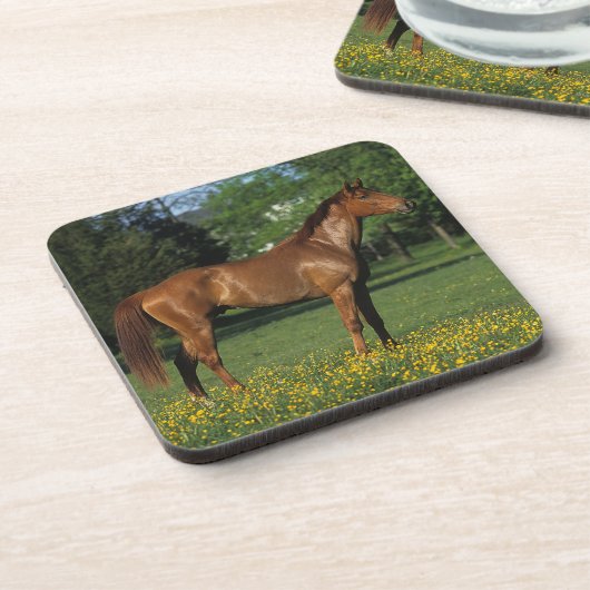 Thoroughbred-Pferd in den Blumen Untersetzer (Linke Seite)