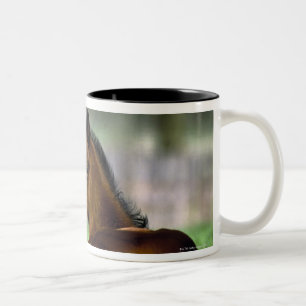 Thoroughbred-Pferd, Irland Zweifarbige Tasse