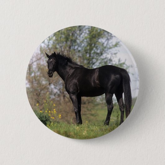 Thoroughbred-Pferd stehend Button (Vorderseite)