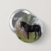 Thoroughbred-Pferd stehend Button (Vorne & Hinten)
