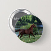Thoroughbred-Pferd stehend in den Blumen Button (Vorne & Hinten)