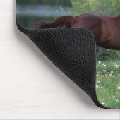 Thoroughbred-Pferd stehend in den Blumen Mousepad (Ecke)
