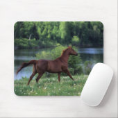 Thoroughbred-Pferd stehend in den Blumen Mousepad (Mit Mouse)