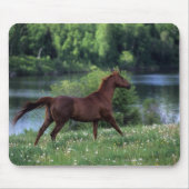 Thoroughbred-Pferd stehend in den Blumen Mousepad (Vorne)