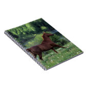 Thoroughbred-Pferd stehend in den Blumen Notizblock (Rechte Seite)