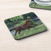 Thoroughbred-Pferd stehend in den Blumen Untersetzer (Linke Seite)