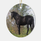 Thoroughbred-Pferd stehend Keramikornament (Links)