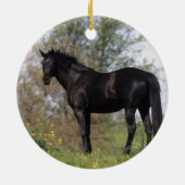 Thoroughbred-Pferd stehend Keramikornament (Hinten)