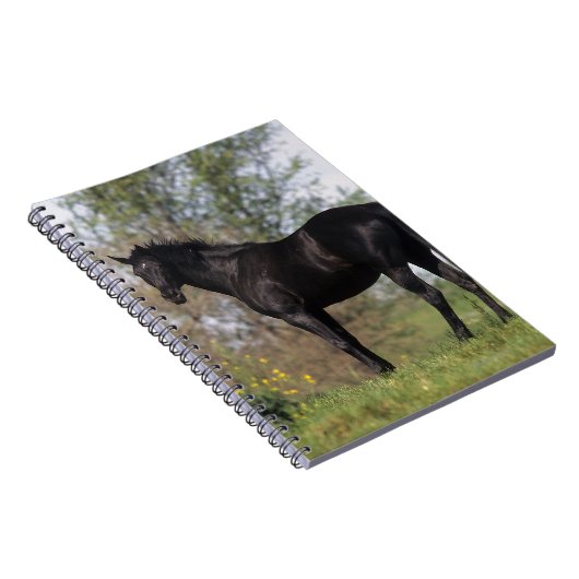 Thoroughbred-Pferd stehend Notizblock (Rechte Seite)