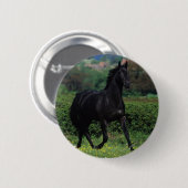 Thoroughbred-Pferde auf dem Blumen-Gebiet Button (Vorne & Hinten)