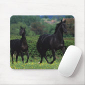 Thoroughbred-Pferde auf dem Blumen-Gebiet Mousepad (Mit Mouse)